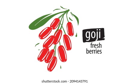 Drawn vector Goji on a white background