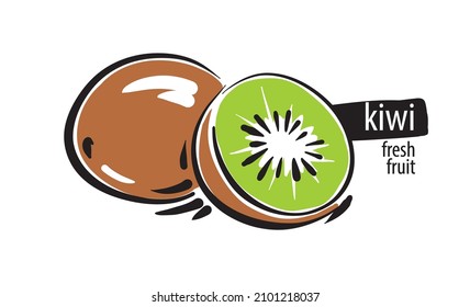 Drawn vector kiwi on a white background