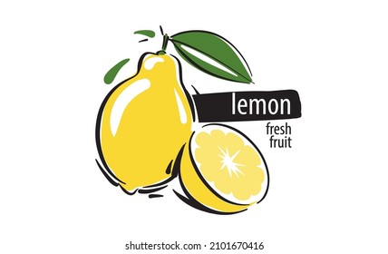 Drawn vector lemon on a white background