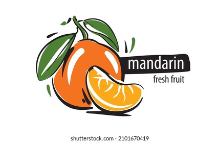 Drawn vector mandarin on a white background