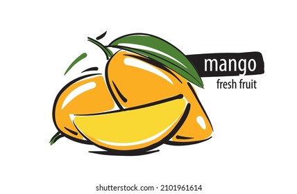 Drawn vector mango on a white background