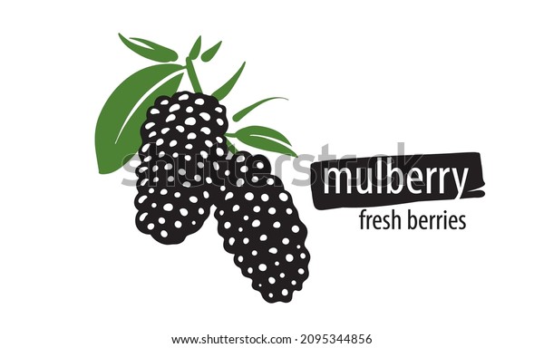 mulberry bolsa tree logo
