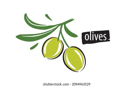 Drawn vector olives on a white background