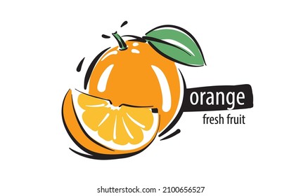 Naranja vectorial dibujada sobre un fondo blanco