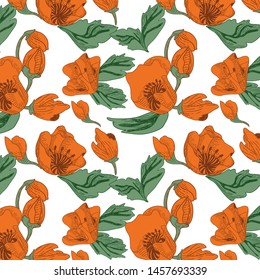 
drawn vector pattern with poppies