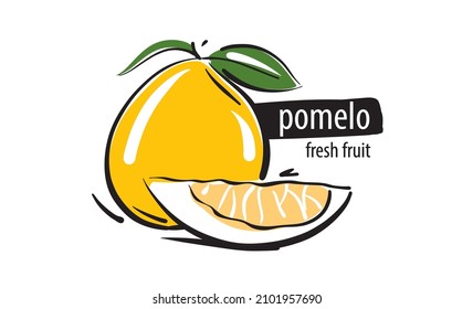 Drawn vector pomelo on a white background