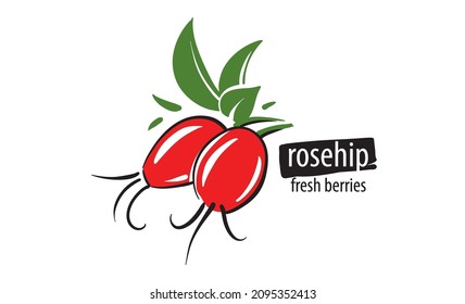 Drawn vector rosehip on a white background