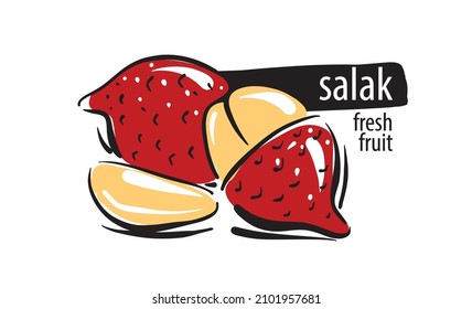 Salak vectorial dibujado sobre un fondo blanco