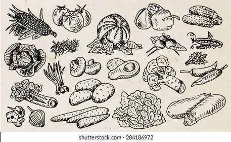 drawn vegetables on a vintage background