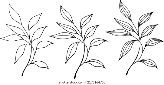 Drawn vintage branches. Vector hand drawn branches. ink. Sketch. Delicate delicate thread. Home decor. Elements on a white background. Invitations. Wedding.