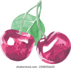 Drawn watercolor cherry. summer fruit art