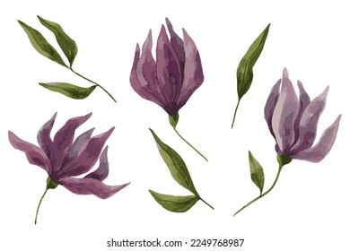 Drawn watercolor purple flowers. Clip art. Texture. Vector watercolor flower. Decor set. Spring. Autumn. Holidays. Floristics. Flowers set.