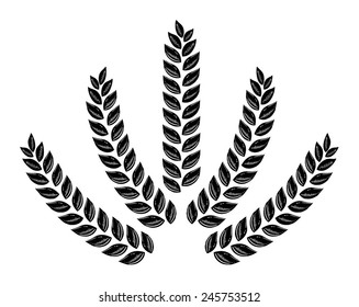Drawn wheat, ears of corn, barley, oats, wheat, background beer, backgrounds for grain