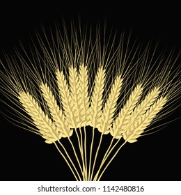 Drawn wheat ears on a dark background