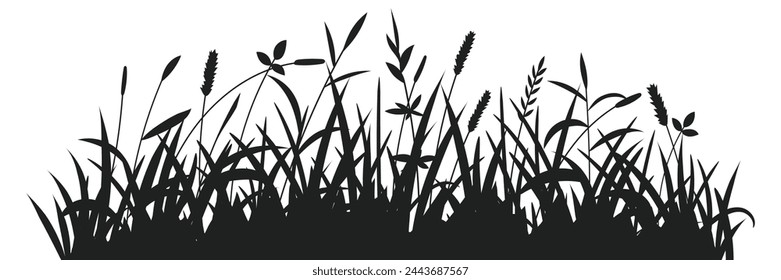 Drawn wild grass isolated on white background, vector design