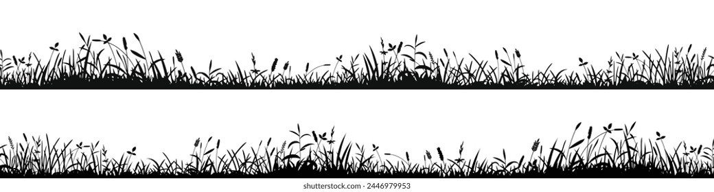 Drawn wild grass isolated on white background, seamless border, vector design