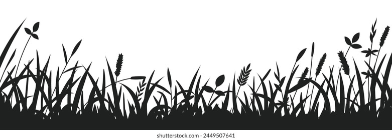 Drawn wild grass isolated on white background, vector design