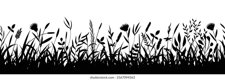 Drawn wild grass isolated on white background, seamless border, vector design