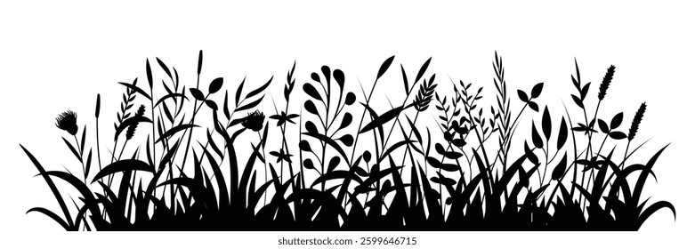 Drawn wild grass isolated on white background, vector design