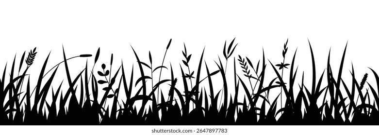 Drawn wild grass isolated on white background, vector design