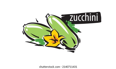 Drawn Zucchini isolated on a white background