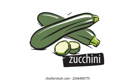Drawn zucchini isolated on a white background