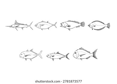 Dream Game Fish Illustration Set Big Trophy Fish Collection