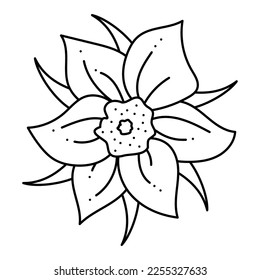 Dream grass, lumbago flower doodle. Hand drawn outline vector illustration.