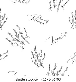 Dream of Provence seamless pattern. Hand drawn background with lavender herbs. Vintage botanical sketch illustration on white background. Vector pattern or card design.