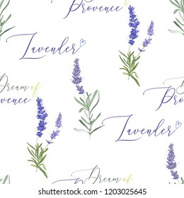 Dream of Provence seamless pattern with lavender. Vector watercolor vintage sketch. Botanical colorful illustration on white background.