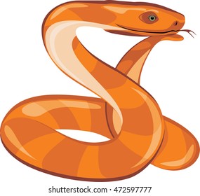 Dreaming snake. Vector