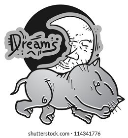 Dreams cat holidays
