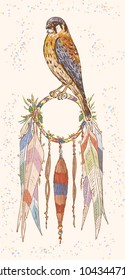 Dreemcatcher and Kestrel. Hand drawn illustration. Color picture. Vector.