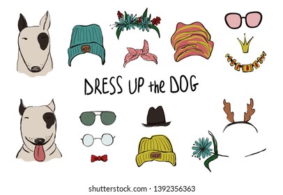 Drees up the dog collection. Funny hipster Bull Dog couple portraits with accessories.