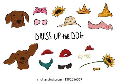 Drees up the dog collection. Funny hipster Dachshund couple portraits with accessories.