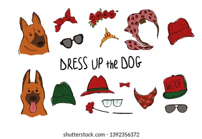 Drees up the dog collection. Funny hipster Shepherd couple portraits with accessories.