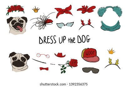 Drees up the dog collection. Funny hipster Pug couple portraits with accessories.