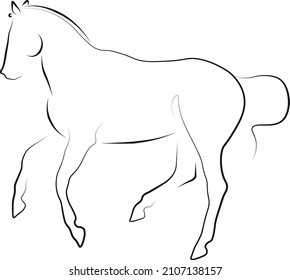 dressage horse illustration vector art