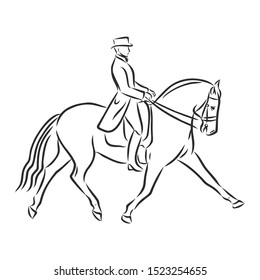dressage horses sketch, Horsemanship  contour vector illustration 