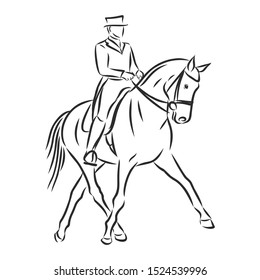 dressage horses sketch, Horsemanship contour vector illustration 
