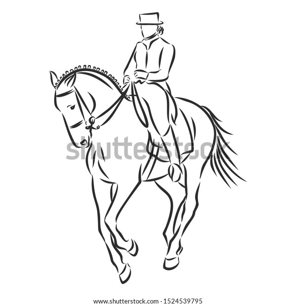 Dressage Horses Sketch Horsemanship Contour Vector Stock Vector 