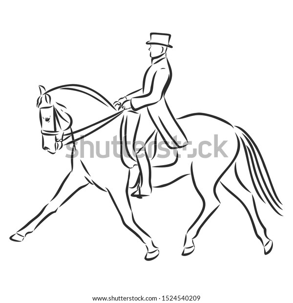 Dressage Horses Sketch Horsemanship Contour Vector Stock Vector ...