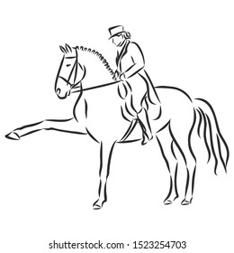 dressage horses sketch,Horsemanship  contour vector illustration 