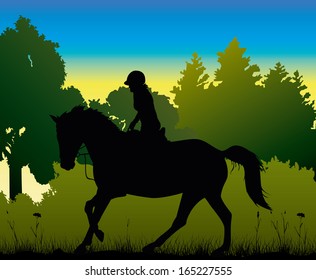 dressage in the morning