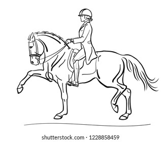A dressage rider on a big mover horse.