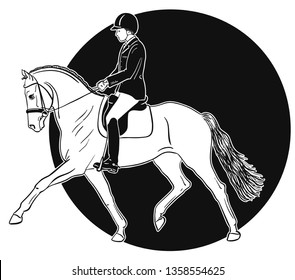 Dressage rider on a horse.
