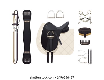 Dressage riding tack, horse grooming tools, riding gear and accessories