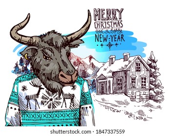 Dressed bull. Hand drawn beautiful vector illustration. Symbol of 2021 new year.