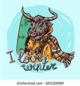 Dressed bull with snowboard. Hand drawn beautiful vector illustration. Symbol of 2021 new year. I love winter.