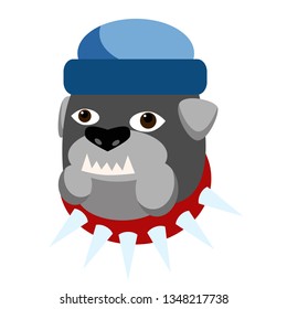 Dressed bullgod flat illustration on white